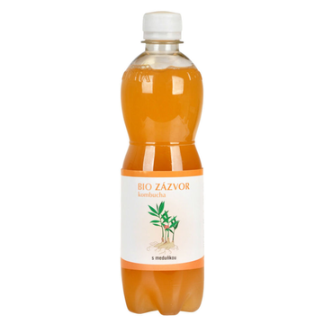 Bio Kombucha Zázvorová s meduňkou 500ml Stevikon